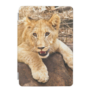 Tiger Cub Takes Breather On A Rock iPad Mini Cover