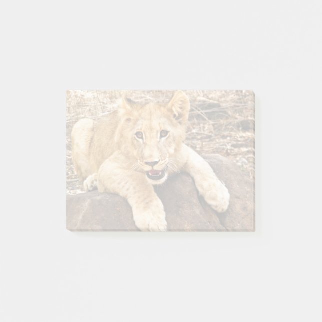 Tiger Cub Takes Breather On A Rock Post-it Notes (Front)