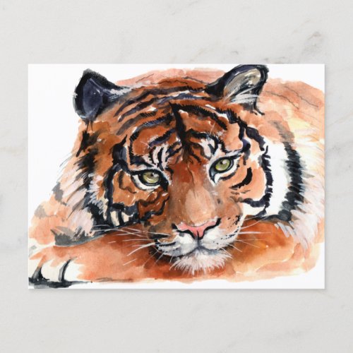 Tiger Cub Watercolor Postcard
