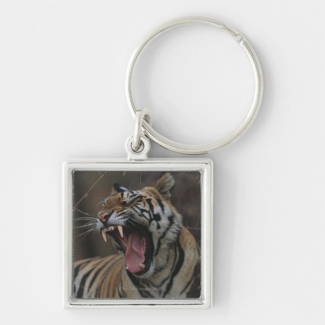 Tiger Cub Yawning Keychain (Front)