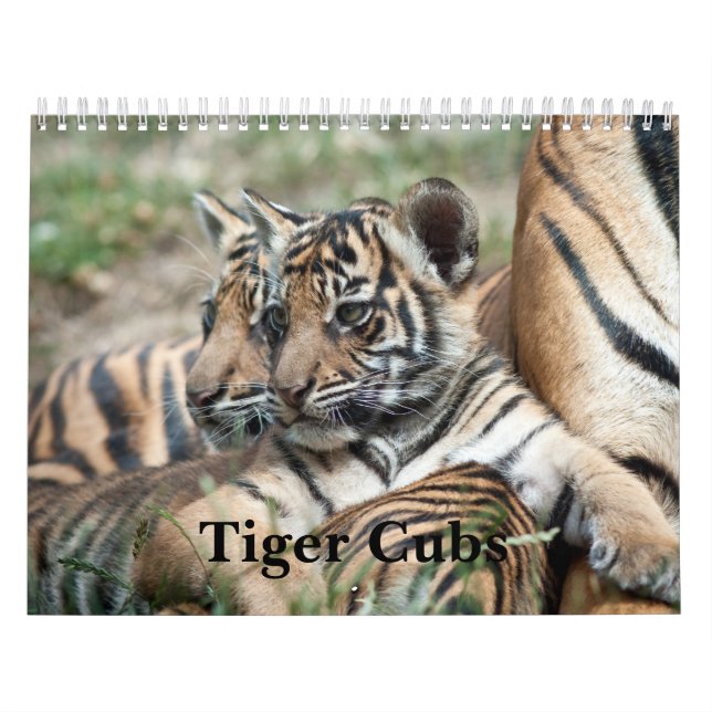 Tiger Cubs Calendar (Cover)