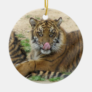 Tiger Cubs Ornament