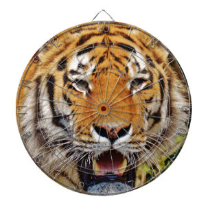 Tiger Dartboard With Darts