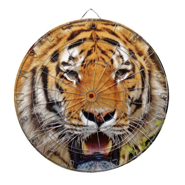 Tiger Dartboard With Darts (Front)