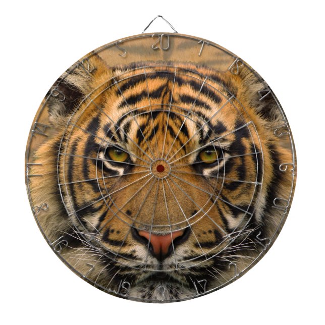 Tiger Dartboard With Darts (Front)