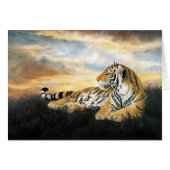 Tiger Dawn (Front Horizontal)