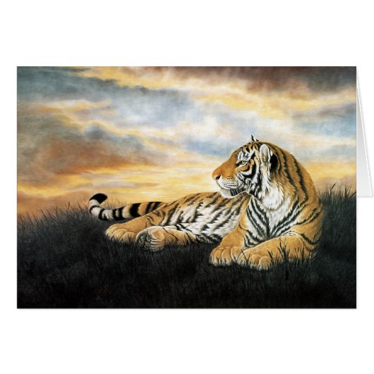 Tiger Dawn Cards (Front Horizontal)