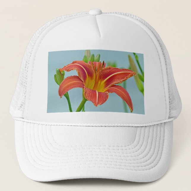 Tiger Daylily (Front)