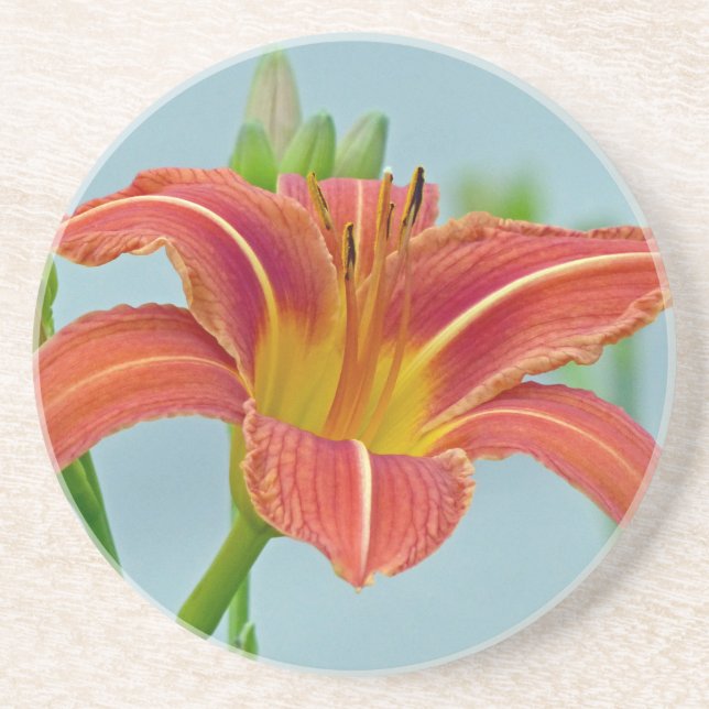 Tiger Daylily Drink Coaster (Front)