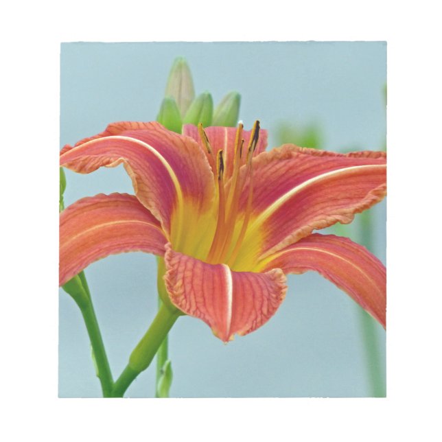 Tiger Daylily Notepad (Front)