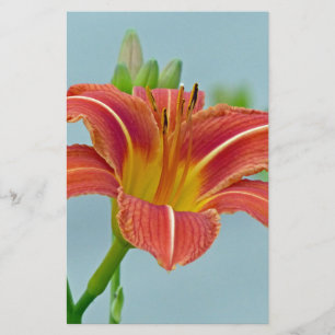 Tiger Daylily Stationery