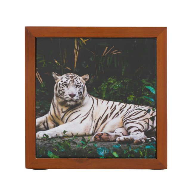 Tiger Desk Organizer (Front)