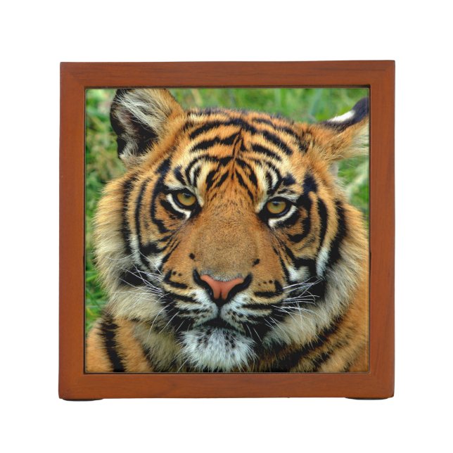 Tiger Desk Organizer (Back)