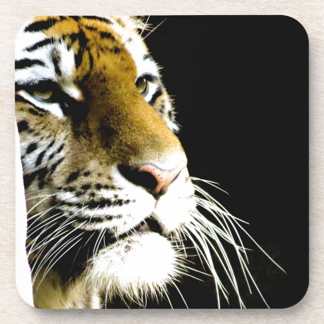 Tiger Drink Coaster (Front)