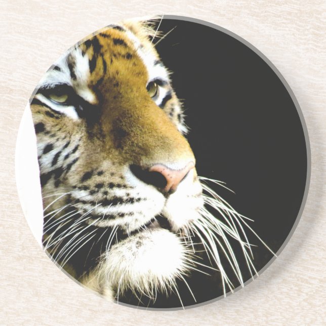 Tiger Drink Coaster (Front)