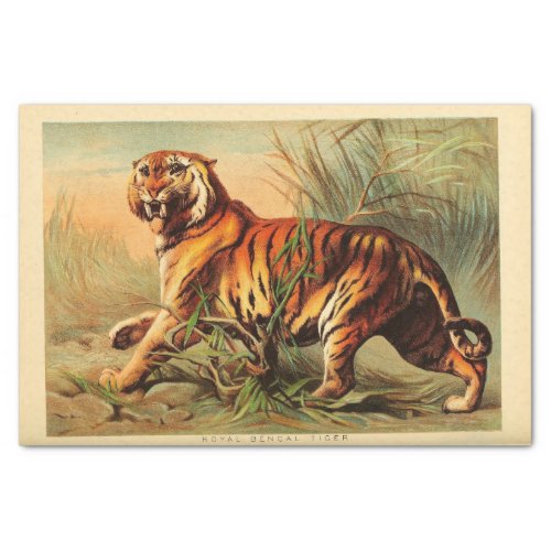 Tiger Ephemera Decoupage Tissue Paper