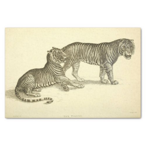 Tiger Ephemera Decoupage Tissue Paper