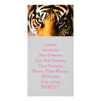 tiger eye program card