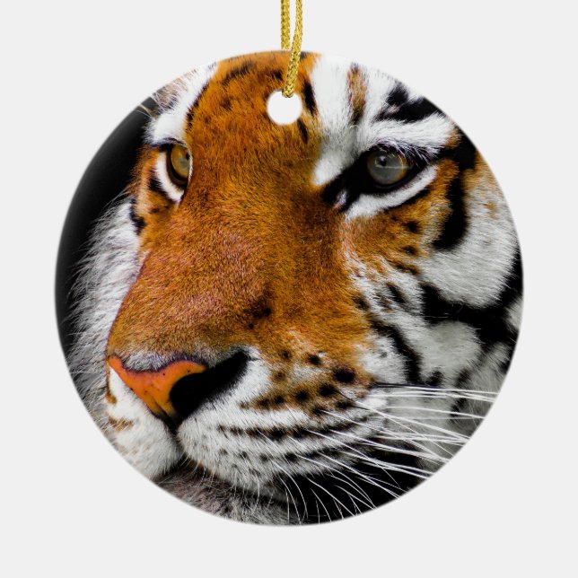 Tiger Eyes Ceramic Ornament (Front)
