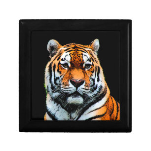 Tiger Eyes Inspirational Jewelry Box