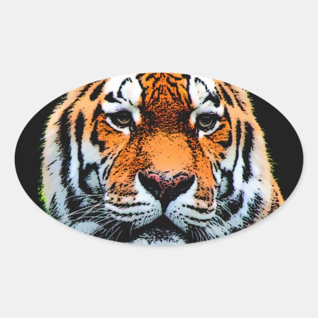 Tiger Eyes Inspirational Oval Sticker (Front)