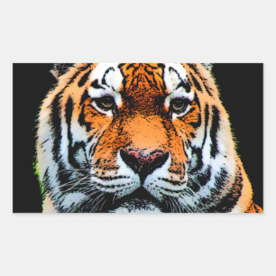 Tiger Eyes Inspirational Rectangular Sticker