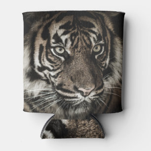 Tiger Eyes: Intense Black Background Can Cooler