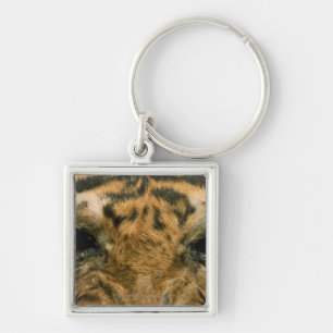 Tiger eyes keychain