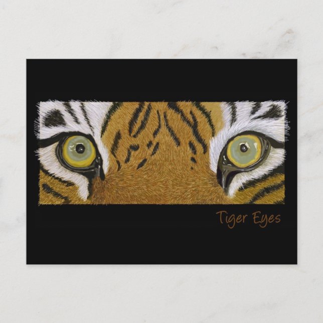 tiger eyes postcard (Front)