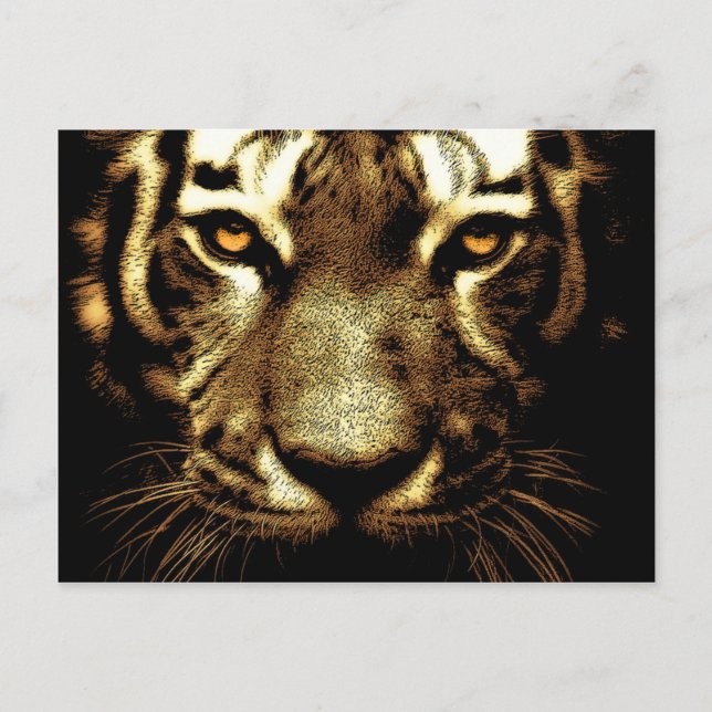 Tiger Eyes Postcard (Front)
