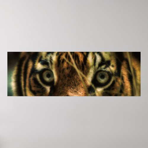 TIGER EYES POSTER