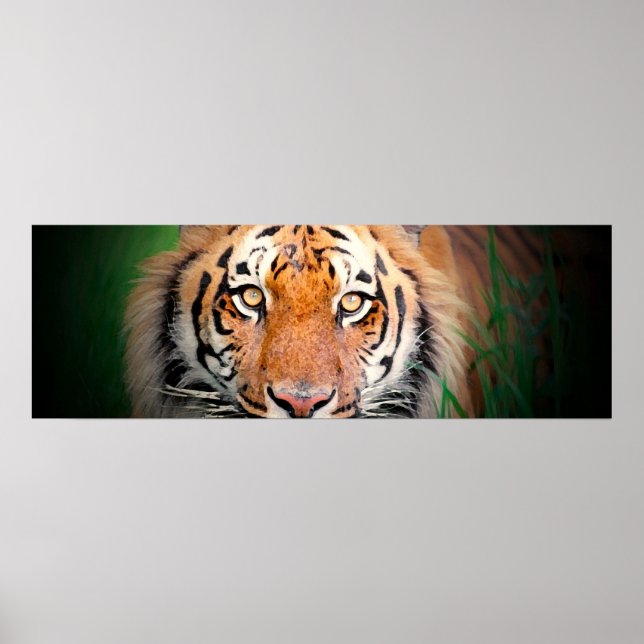 Tiger Eyes Poster (Front)
