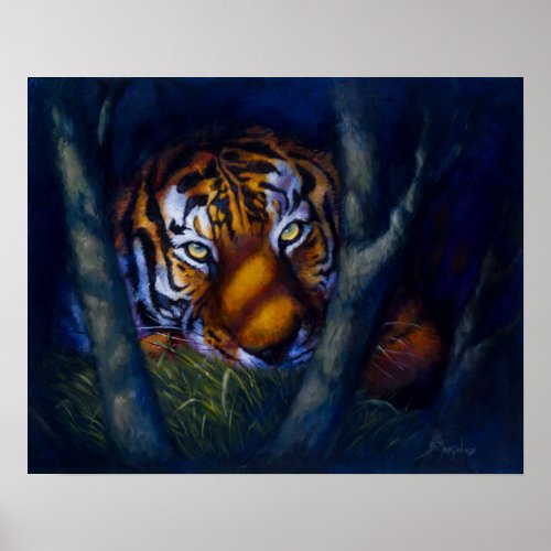 Tiger Eyes Poster