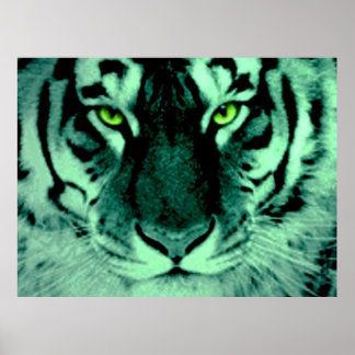 Tiger Eyes Poster