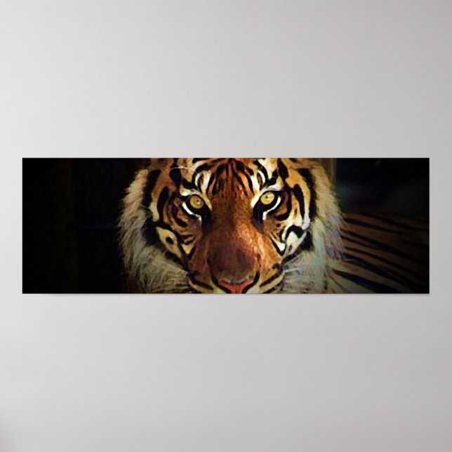 Tiger Eyes Poster - Wild Life Posters (Front)