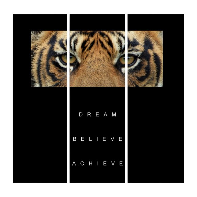 Tiger Eyes Success Goal Motivational Quotes Triptych (Front)