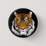 Tiger Face Buttons at Zazzle