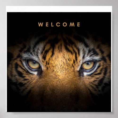 Tiger face canvas  poster