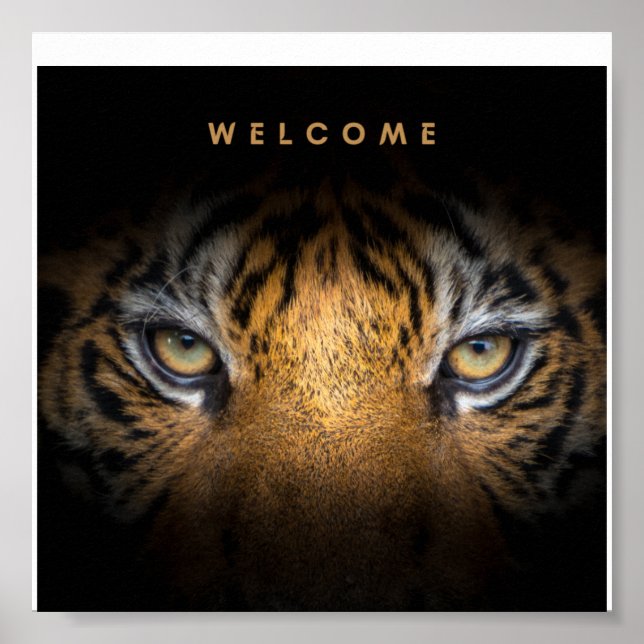Tiger face canvas  poster (Front)