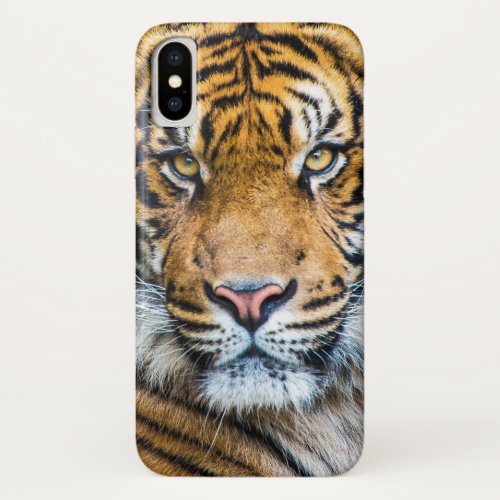 Tiger Face iPhone X Case