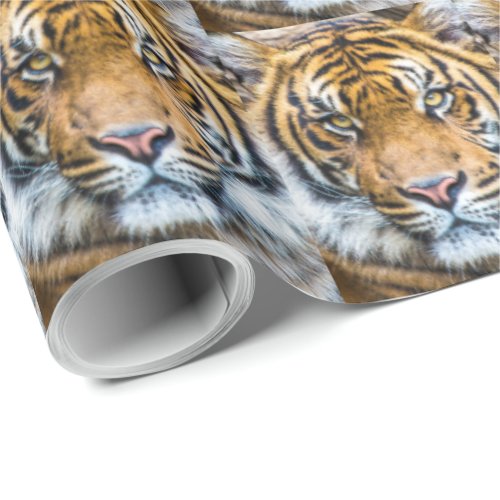 Tiger Face Close Up Wrapping Paper