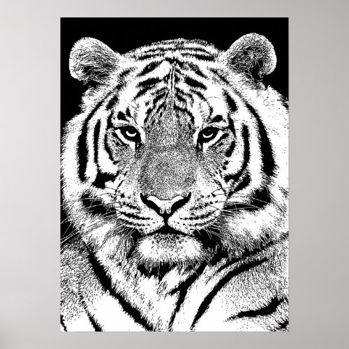 Tiger Face Jungle Safari Animal Art Poster