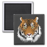 Tiger Face  Magnet at Zazzle