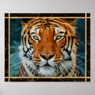 Tiger Face Marbled Photo Image Print Poster