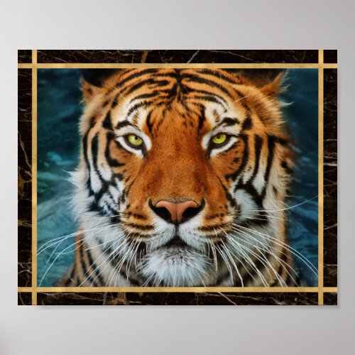 Tiger Face Marbled Photo Image Print Poster