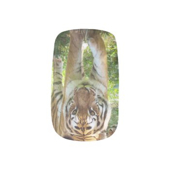 Tiger Face Minx Nail Wraps by erinphotodesign at Zazzle