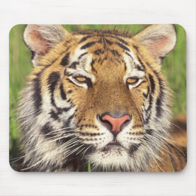 Tiger Face Mouse Pad (Front)