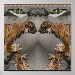 TIGER FACE OFF HIDDEN IMAGE POSTER