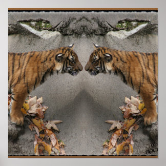 TIGER FACE OFF HIDDEN IMAGE POSTER
