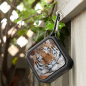 Tiger Face Photo  Bluetooth Speaker (Inisitu)